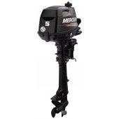 Mercury F 5 M small