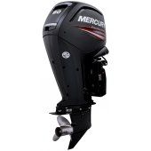 Mercury F 80 E small