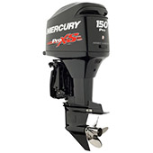 Mercury 150 ProXS OptiMax small