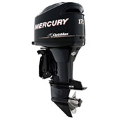 Mercury 175 OptiMax small