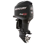 Mercury 225 L small