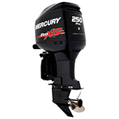 Mercury 250 ProXS small