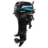 Mercury 40 M SeaPro small
