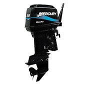 Mercury 55 ML SeaPro small