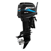 Mercury 60 ML SeaPro small