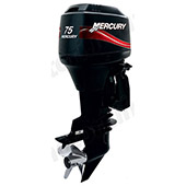 Mercury 75 ELPTO small