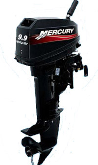 Mercury 9.9 M