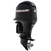 Mercury F 100 small
