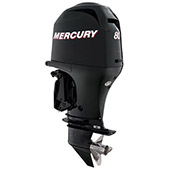 Mercury F 80 small
