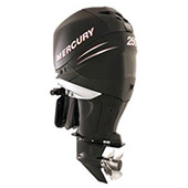Mercury 250 Verado small