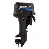 Mercury 25 M SeaPro small