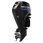 Mercury F 115 SeaPro small