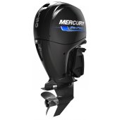 Mercury F 150 SeaPro small