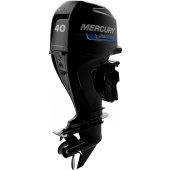Mercury F 40 SeaPro small