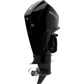 Mercury V6 175 small