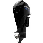 Mercury V6 200 SeaPro small