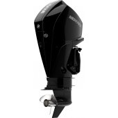 Mercury V6 225 small