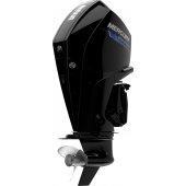 Mercury V8 225 SeaPro small