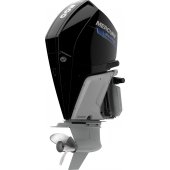 Mercury V8 300 SeaPro small